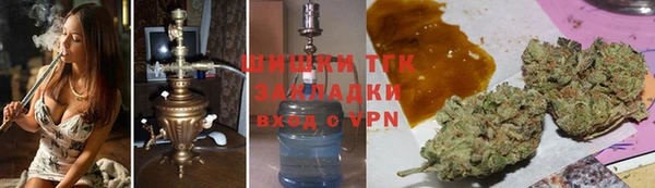 шишки Аркадак